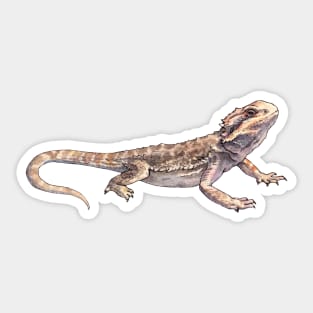 Pet bearded dragon - watercolor illustration Sticker